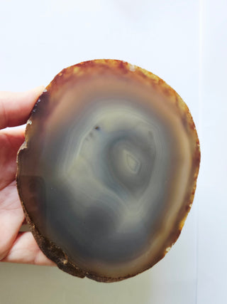 Translucent Natural Agate Slice Polished Banded Gemstone 440g 130x110mm G2