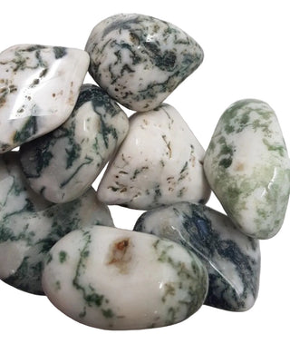 Agate GREEN TREE Tumbled Gemstone Specimen