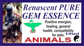 Blended Gem Essences Kit 10 x 10ml Stock Strength Potentised Pure Vibrational