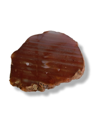 Orange Carnelian Agate Geode Slice Polished Natural Gemstone 10x8cm 514g G1
