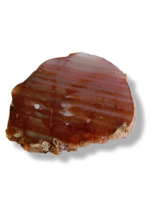 Orange Carnelian Agate Geode Slice Polished Natural Gemstone 10x8cm 514g G1