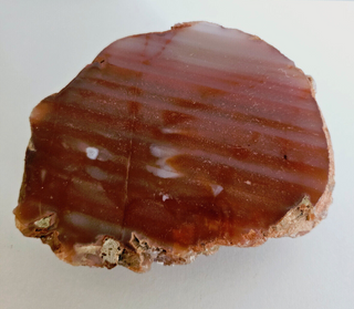 Orange Carnelian Agate Geode Slice Polished Natural Gemstone 10x8cm 514g G1