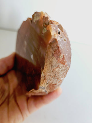 Orange Carnelian Agate Geode Slice Polished Natural Gemstone 10x8cm 514g G1