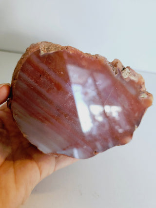 Orange Carnelian Agate Geode Slice Polished Natural Gemstone 10x8cm 514g G1