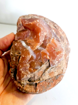 Orange Carnelian Agate Geode Slice Polished Natural Gemstone 10x8cm 514g G1
