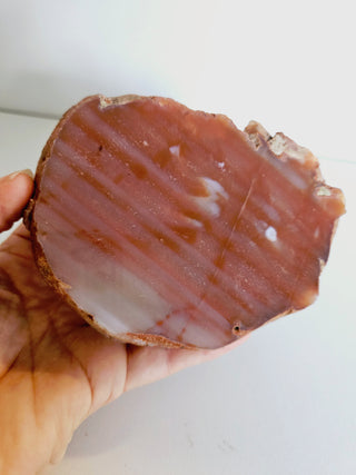 Orange Carnelian Agate Geode Slice Polished Natural Gemstone 10x8cm 514g G1