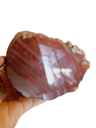 Orange Carnelian Agate Geode Slice Polished Natural Gemstone 10x8cm 514g G1