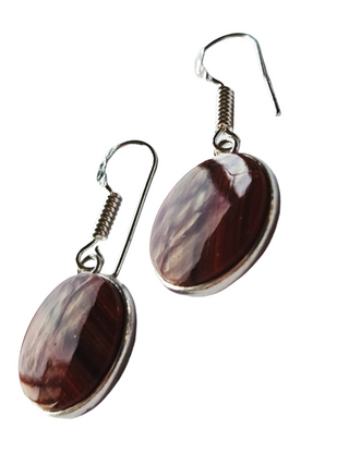 Banded Carnelian Sterling Silver Earrings 1 Natural Stone Handcrafted Jewelry Genuine Gemstone