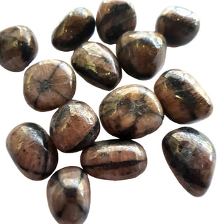 Chiastolite Jerusalem Cross Genuine Gemstones Polished