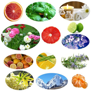 Pure Essential Oils Kit 10 x 10ml Aromatherapy Blends Vegan Skin Safe Boxed