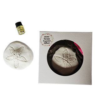 Sand Dollar Fragrance Diffuser Aroma Stone – Handmade Hydrostone + Essential Oil