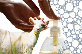 CASTILE GOATS MILK Liquid Soap Base - Ready to Use - Creamy, Nourishing