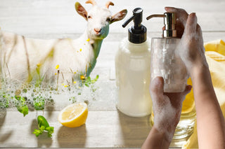 CASTILE GOATS MILK Liquid Soap Base - Ready to Use - Creamy, Nourishing