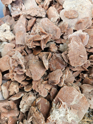 Rough Gypsum Desert Rose Bulk or Plates Raw Australian Crystal Specimens