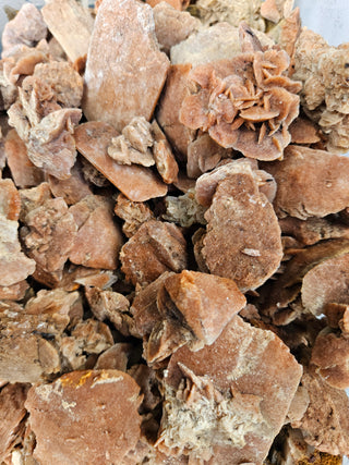 Rough Gypsum Desert Rose Bulk or Plates Raw Australian Crystal Specimens