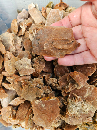Rough Gypsum Desert Rose Bulk or Plates Raw Australian Crystal Specimens