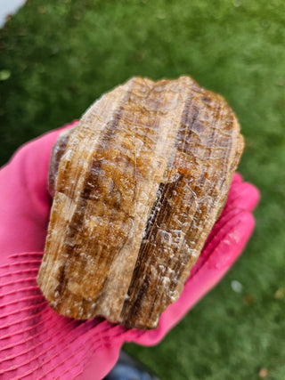 Rough Honey Calcite 1kg Bulk Raw Golden Amber Crystal Healing Specimens