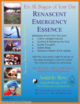 Gem Essence Manual eBook on disc