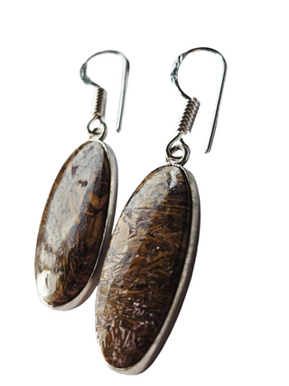 Mariam Jasper Sterling Silver Earrings 1 Natural Stone Handcrafted Jewelry Genuine Gemstone