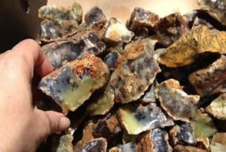 OPALITE Authentic Raw Australian Dendritic Green White Yellow Rough Specimens Bulk