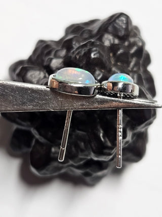 Solid Opal Stud Oval Earrings Bevelled Australian Genuine Gems Silver RRP$160