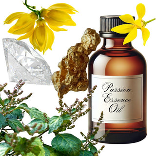 Aromatherapy Gem Essence Oil Kit 10 x 10ml Travel Box Healing Blends