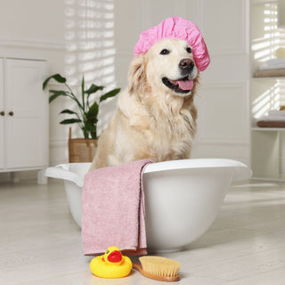 Pet Shampoo Liquid Wash Soap Palm Free Dogs Cats Horses Gentle Skin Care