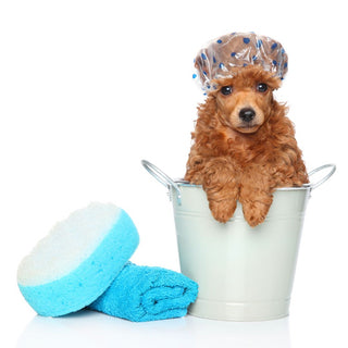 Pet Shampoo Liquid Wash Soap Palm Free Dogs Cats Horses Gentle Skin Care