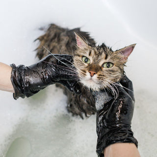 Pet Shampoo Liquid Wash Soap Palm Free Dogs Cats Horses Gentle Skin Care