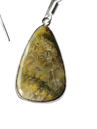 Rainforest Rhyolite Sterling Silver Earrings 1 Natural Stone Handcrafted Jewelry Genuine Gemstone