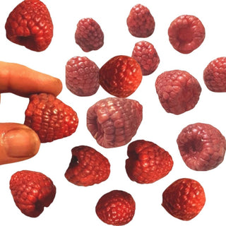 Raspberry Jar Guest Soap Bars Real Size Artisan Made Gift Boxed
