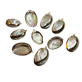 Natural Abalone Shell Pendant Gold Plated Edge Iridescent Spiritual Healing