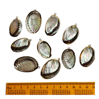 Natural Abalone Shell Pendant Gold Plated Edge Iridescent Spiritual Healing