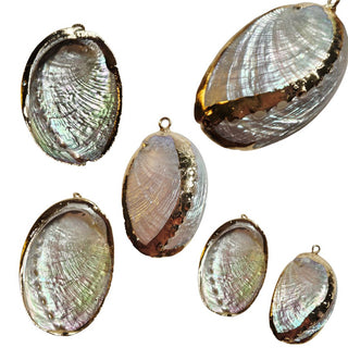 Natural Abalone Shell Pendant Gold Plated Edge Iridescent Spiritual Healing