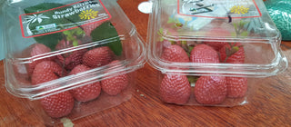 Strawberry Box Guest Soap Bars  Realistic Size bar (WS available) Gift Boxed