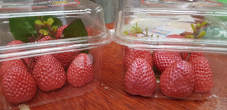 Strawberry Box Guest Soap Bars  Realistic Size bar (WS available) Gift Boxed