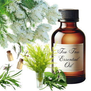 Tea Tree Essential Oil