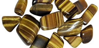 Tiger Eye Individual Pieces: Australian