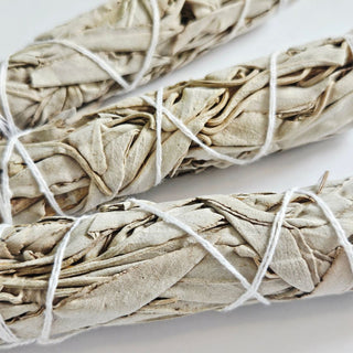 White Sage Smudge Stick Cleansing Healing Smudging Ritual Salvia Apiana 10cm