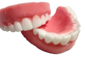 Dentures / False Teeth Silicone Mould