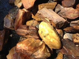 Rough Petrified Wood 1kg Australian Fossil Specimen Collection Healing