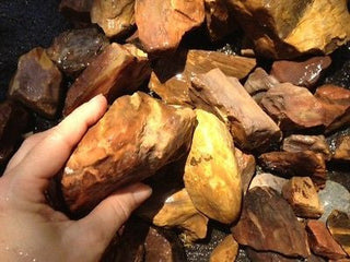 Rough Petrified Wood 1kg Australian Fossil Specimen Collection Healing