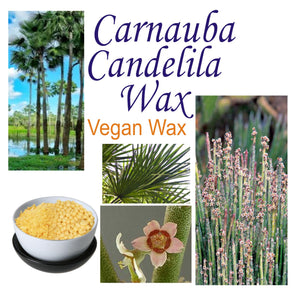 Carnauba Wax (Vegan)