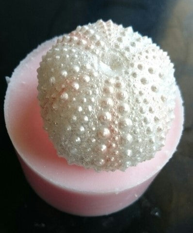 Sea Urchin (Small) Silicone Mould