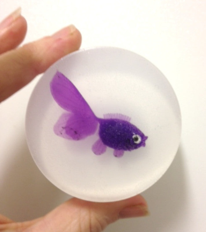Fish In A Bag DIY Soap Making Kit - BULK Makes 10