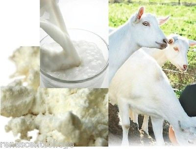 Goats Milk Powder