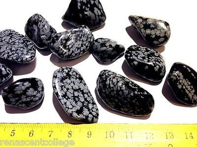 Snowflake Obsidian Gemstones Tumbled x 4 pieces