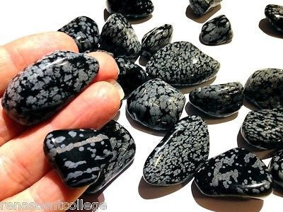 Snowflake Obsidian Gemstones Tumbled x 4 pieces