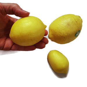 Lemon Medium Silicone Mould