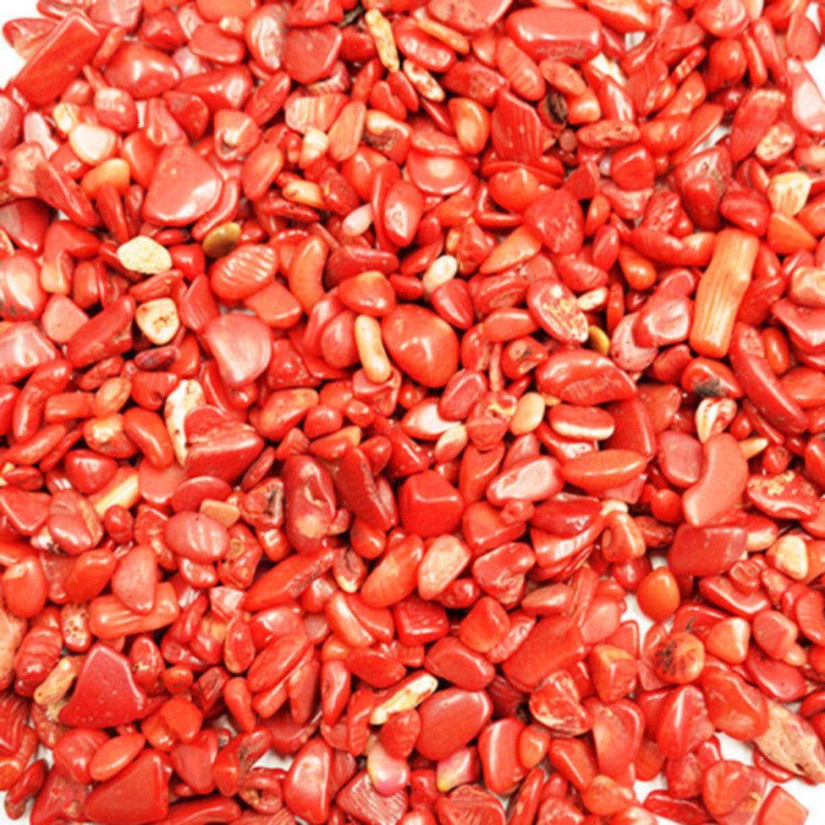 Tumbled Gem Chips Tiny 50gm - You Choose Stones